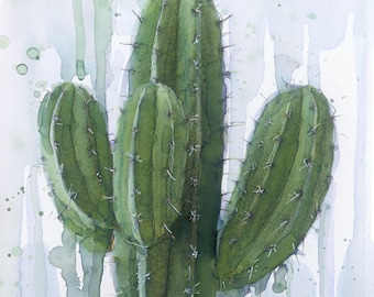 Pack of 4 'Cacti Lover'  Plant Cards with envelopes and biodegradable wraps. Blank Inside