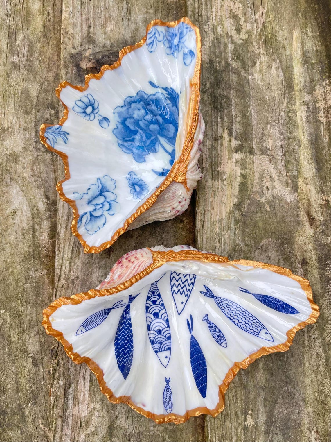 Bear Claw Clam Shells, Various Designs, Hand Decorated Ornaments or ...