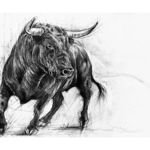 The Trouble Maker, A2 Black Charcoal Bull Print (Highest Quality Giclee Print smooth 300 gsm paper)