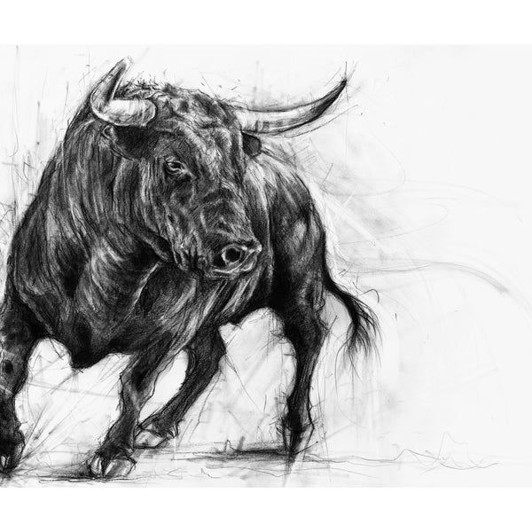 The Trouble Maker, A2 Black Charcoal Bull Print (Highest Quality Giclee Print smooth 300 gsm paper)