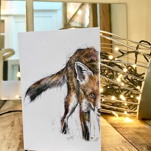 Pakket van 4 The Shy Fox Greetings Cards met enveloppen (leeg voor je eigen bericht)
