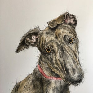 Greyhound print &#39;The Squirrel Chaser&#39; (Highest Quality Giclee Print on think 300 gsm paper)