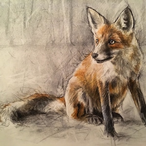 Pak met 4 'Le Petit Renard'-wens-/kerstkaarten (blanco voor je eigen bericht)