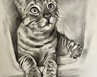 Impresión de gato de Bengala &#39;Observación de aves&#39; (impresión Giclee de la más alta calidad en el papel de 300 gsm)