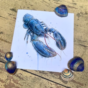 Lot de 4 cartes carrées Homard bleu avec enveloppes artisanales