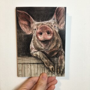 Pakket van 4 The Friendly Pig Kerst/Wenskaarten met enveloppen (blanco voor je eigen bericht)