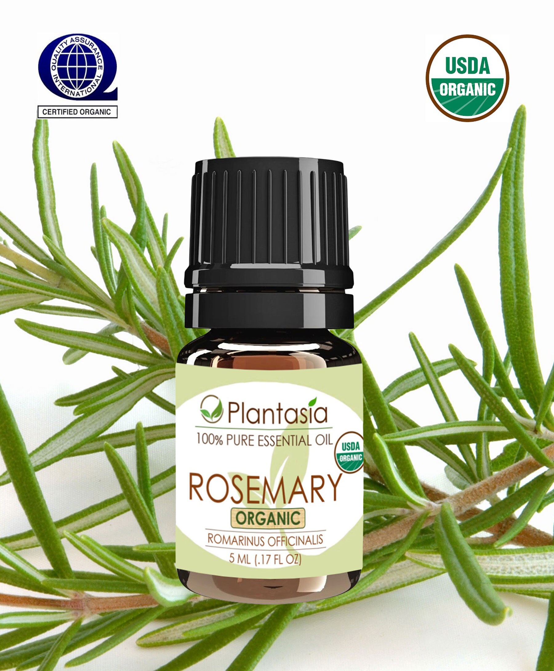 Rosemary Spanish Certified Organic Essential Oil 100 Pure Etsy India