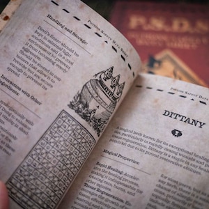 Può includere: Un libro aperto con pagine invecchiate e macchiate che presenta testo e illustrazioni su ingredienti magici. La pagina sinistra descrive la gestione del Tranello del Diavolo, mentre la destra descrive il Dittamo, le sue proprietà curative e la rigenerazione dei tessuti. Il libro include un'intestazione Scheda di Sicurezza delle Pozioni.