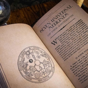 Der Zauberei-Omnibus: Band Eins – Zaubersprüche, Kräuterkunde, Handlesen und Alchemie Bild 15