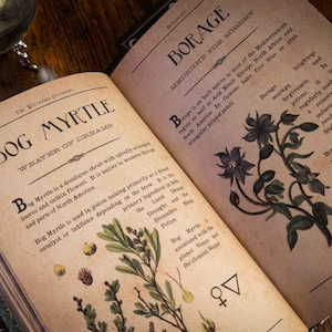 K&ouml;nnte beinhalten: Ein aufgeschlagenes Buch mit gealterten, beigefarbenen Seiten, die botanische Illustrationen und Text enthalten. Die linke Seite ist mit Bog Myrtle, Weaver of Dreams und die rechte mit Borage, Medicine for Misery betitelt, inklusive Beschreibungen und Symbolen.