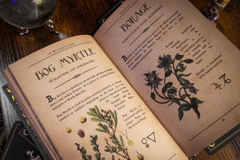 K&ouml;nnte beinhalten: Ein aufgeschlagenes Buch mit gealterten, beigefarbenen Seiten, die botanische Illustrationen und Text enthalten. Die linke Seite ist mit Bog Myrtle, Weaver of Dreams und die rechte mit Borage, Medicine for Misery betitelt, inklusive Beschreibungen und Symbolen.