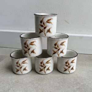 Pode incluir: Seis canecas de cerâmica branca empilhadas em pirâmide. Cada caneca tem um desenho floral castanho e uma borda preta. As canecas são cilíndricas. O fundo é cinza claro.