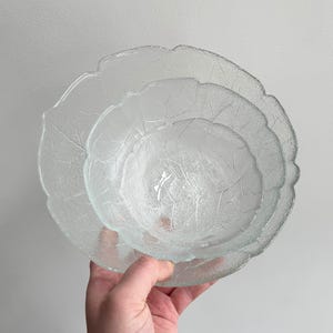 以下が含まれることがあります： 葉の形をした透明なガラスボウル。セットには、大きなプレート、中くらいのプレート、小さなボウルが含まれます。ボウルは、葉の脈のパターンを持つテクスチャード加工された表面を持っています。ボウルは積み重ねられています。