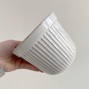 Può includere: Un vaso di ceramica bianco con dettagli a coste verticali. Il vaso ha una base arrotondata e un bordo liscio e piatto. Il colore neutro e il design semplice lo rendono adatto a varie piante e stili di arredamento.