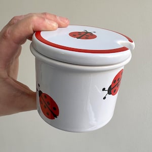 May include: White ceramic jar with a lid, featuring red ladybug illustrations. The lid has a red rim and a small handle. The jar is held by a hand. The ladybug design is repeated on the jar's body.