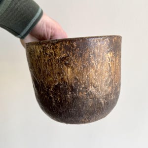 May include: A handcrafted, dark brown bowl with a textured, organic appearance. The bowl has a rounded shape and a gradient of colors, transitioning from a deep brown at the base to a lighter, golden hue towards the rim. The bowl is held by a person.
