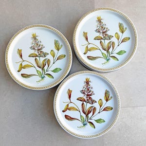 May include: Three white, round decorative plates with a floral design. Each plate features a botanical illustration of a flower and leaves in shades of brown, green, and yellow, with a gold chain-link border.