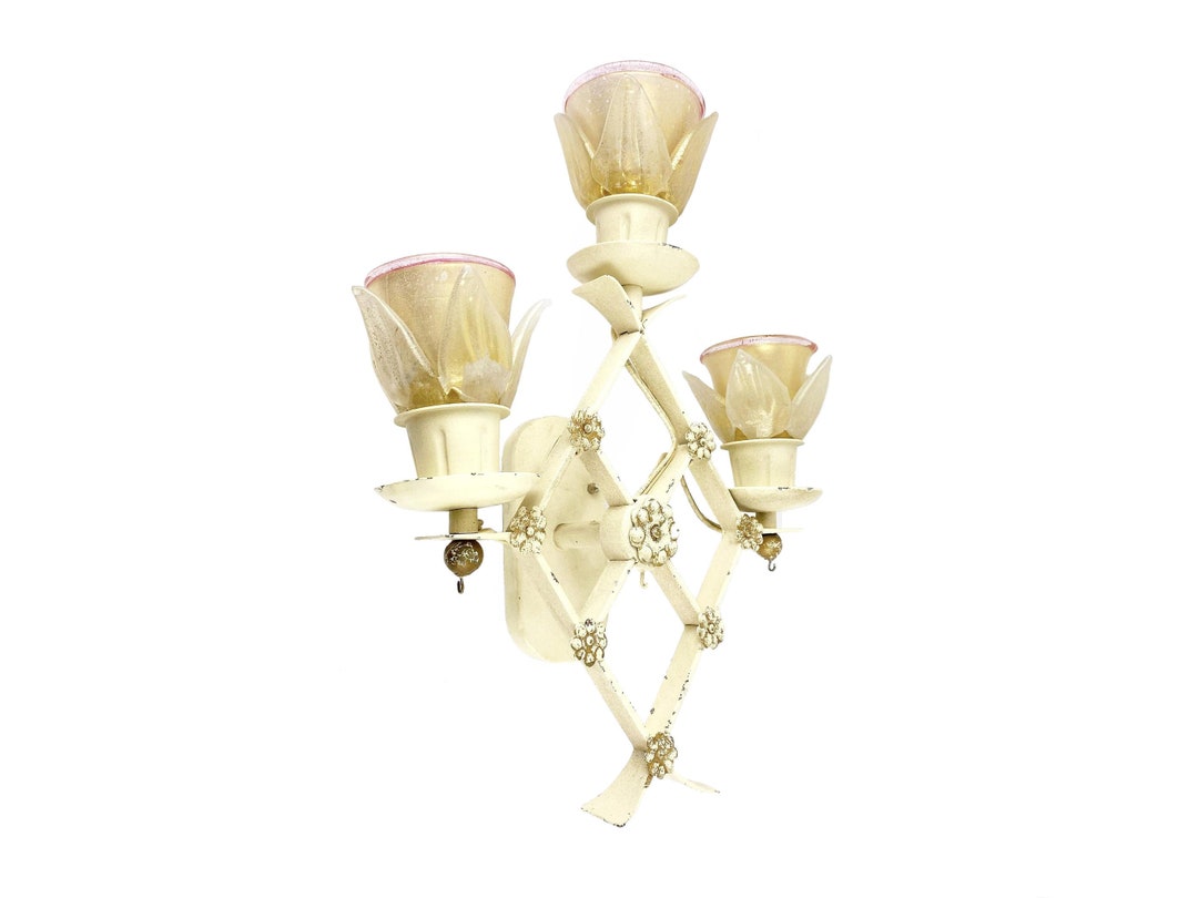 Vintage Cast Iron Wall Lamp With Floral Glass Shades, Mid Century