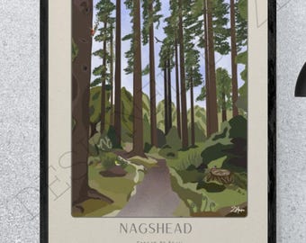 Nagshead Birds Art Print – Woodland Illustration – Limited Edition A4 Signed Print
