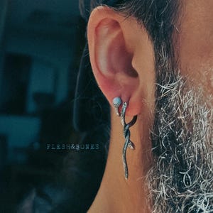 Può includere: Un orecchino a forma di serpente d'argento con una pietra bianca nel lobo dell'orecchio. L'orecchino è un design a serpente attorcigliato e pende dal lobo dell'orecchio.