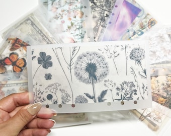 May include: Clear plastic budget envelopes with various floral designs. One envelope features a large dandelion illustration in gray and white. Other envelopes display butterflies, flowers, and botanical patterns. The envelopes are designed for organizing cash and budgeting.