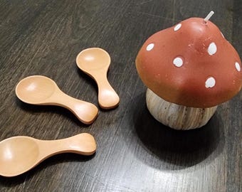 Small Wooden Spoons: Fine Condiment Spoons, Set of 6