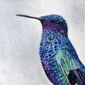 Hummingbird Acrylic Painting on Canvas