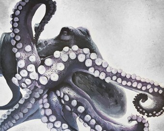 Octopus Art Print (Unframed)