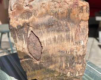 O1322 4 Pieces 16mm ***Excellent Quality~Petrified Fossil PALM WOOD Large Round Beads