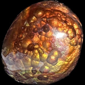 May include: A polished, rounded gemstone featuring a botryoidal structure with a warm color palette of amber, gold, and deep orange. The surface displays a translucent, glass-like texture with internal spherical formations and light reflections.
