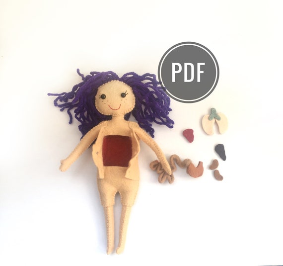 stuffed animal with removable organs