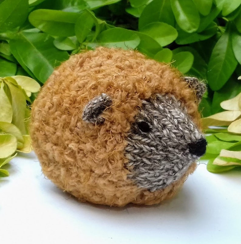 Hedgehog Chocolate Orange Cover Pattern Christmas Knitting Etsy