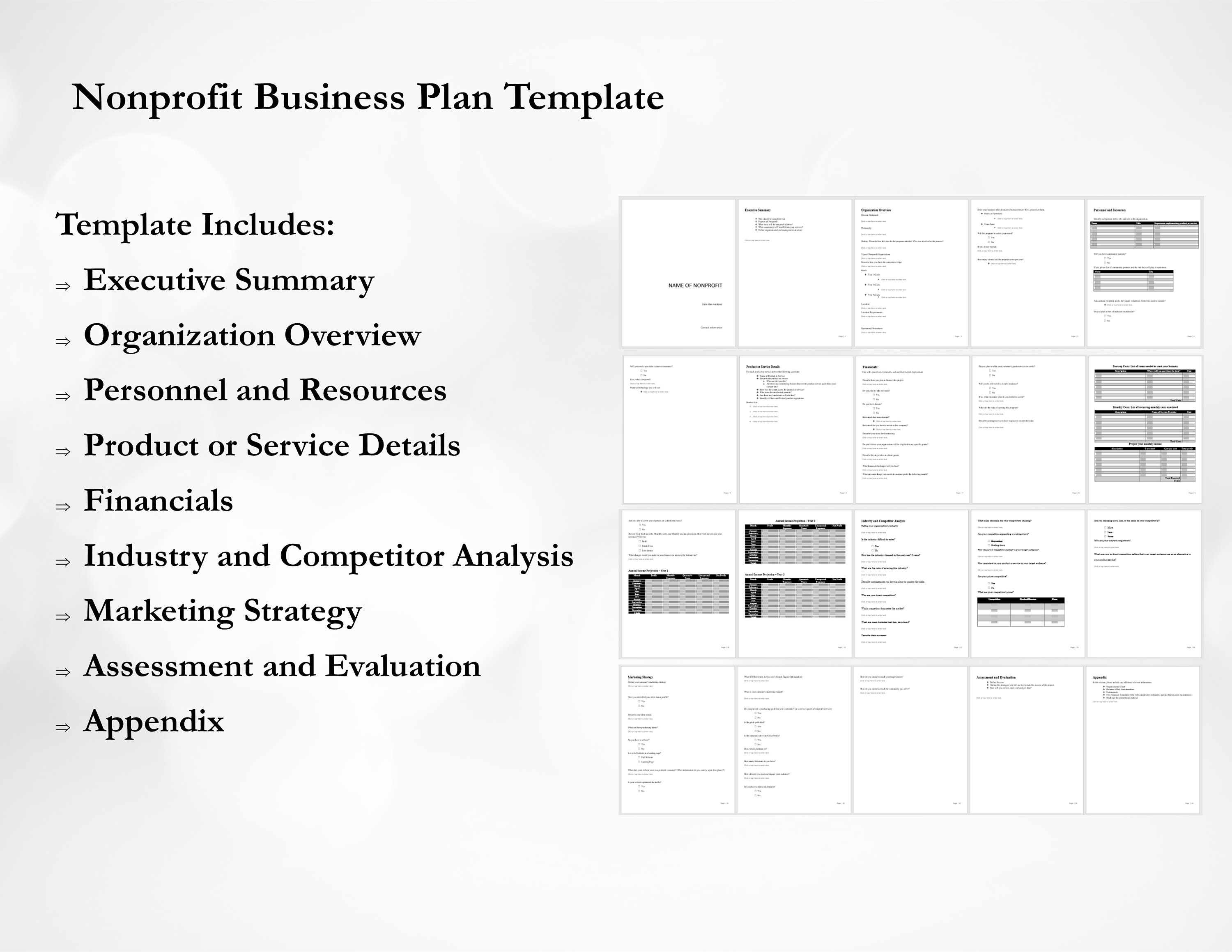 business plan for non profit organization template