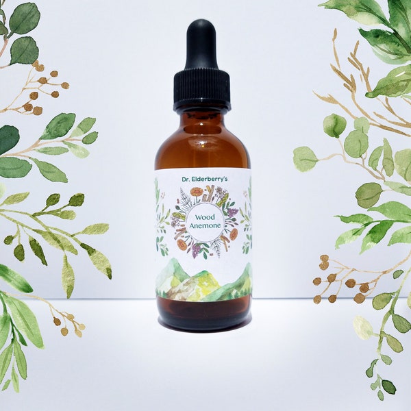 Wood Anemone Flower and Leaf (Anemone quinquefolia) - 1:2 - Fresh Wild Organic Plant Tincture  Wild-harvested