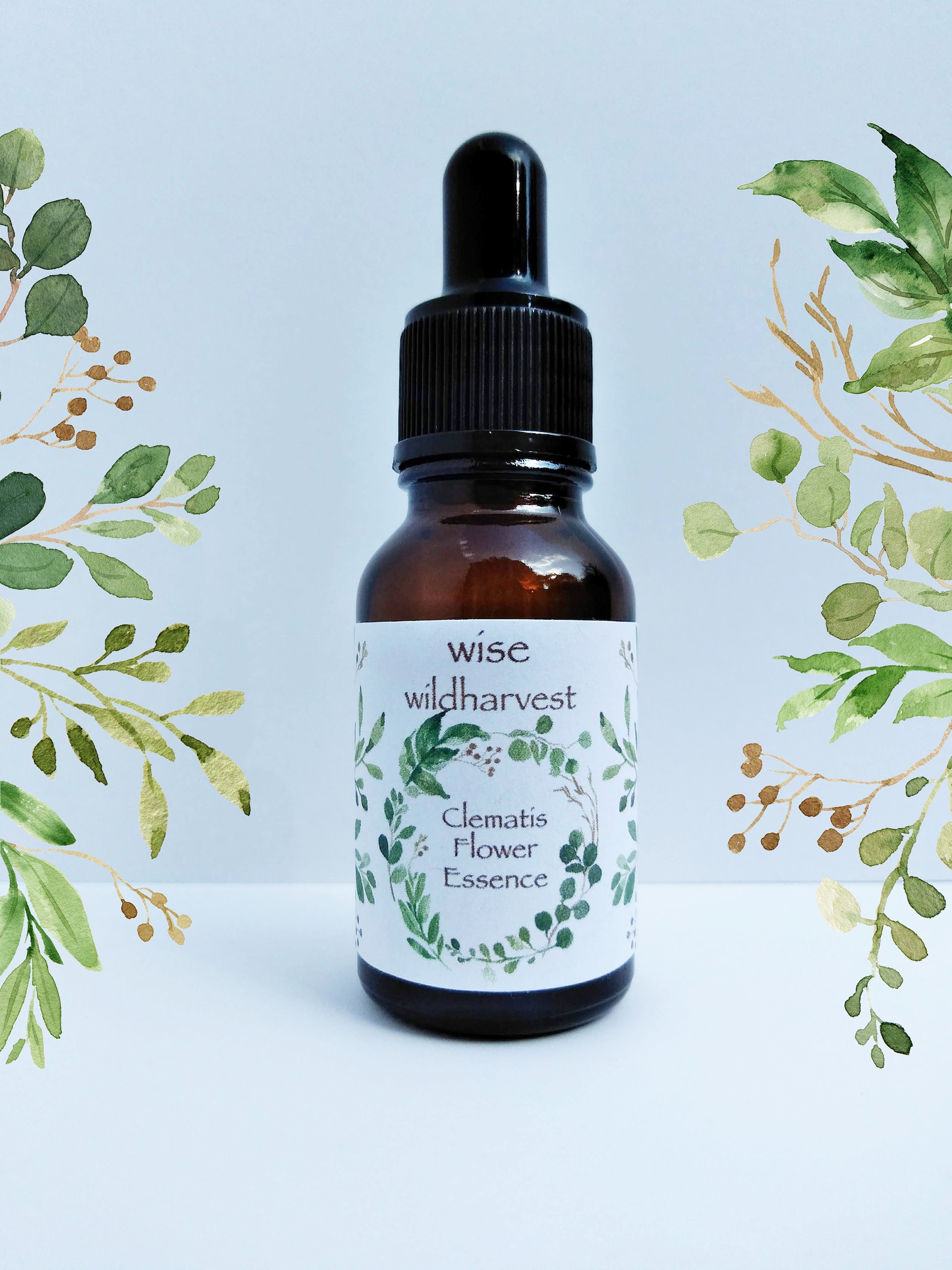 Clematis Flower Essence .5 fluid ounce size Wildharvested Etsy