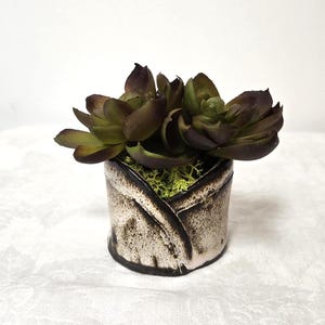Faux Mini Echeveria Succulent, Handcrafted dark brown clay pot glazed cream.