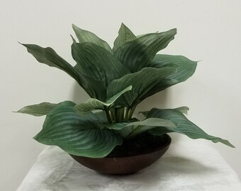 Faux Hosta plant, Potted in a Low Round Handcrafted Wooden Carved bowl, with sheet moss.