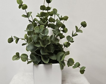 Faux Eucalyptus plant, Potted in a White Ceramic Square pot.