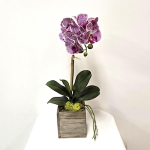 May include: A potted orchid with vibrant purple and white speckled flowers. The plant has dark green leaves and is set in a rustic, square wooden planter. The arrangement includes moss and a wooden stake for support.