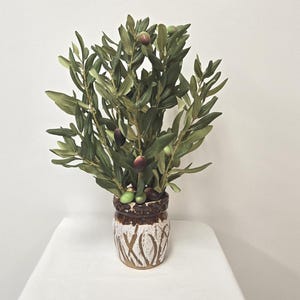 Faux Olive Tree Branches and Olives, potted in a Hand Built Clay Pot Glazed White .