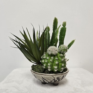 May include: A small, decorative succulent arrangement featuring a variety of green cacti and succulents. The plants are potted in a small, round ceramic bowl with a dark floral design. The bowl sits on a white surface.