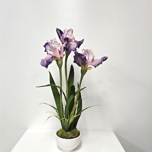 Faux Purple Bearded Iris Plant: White Pot, Deer Moss, Faux Grass