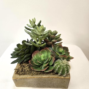 May include: A square, light brown planter filled with a variety of artificial succulents. The arrangement includes green and red-tipped succulents, a small cactus, and brown moss. The planter has a textured surface.