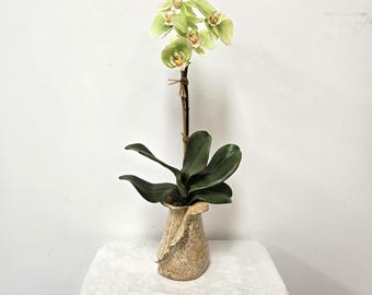 Faux Green Phalaenopsis Orchid, Handcrafted clay pot.