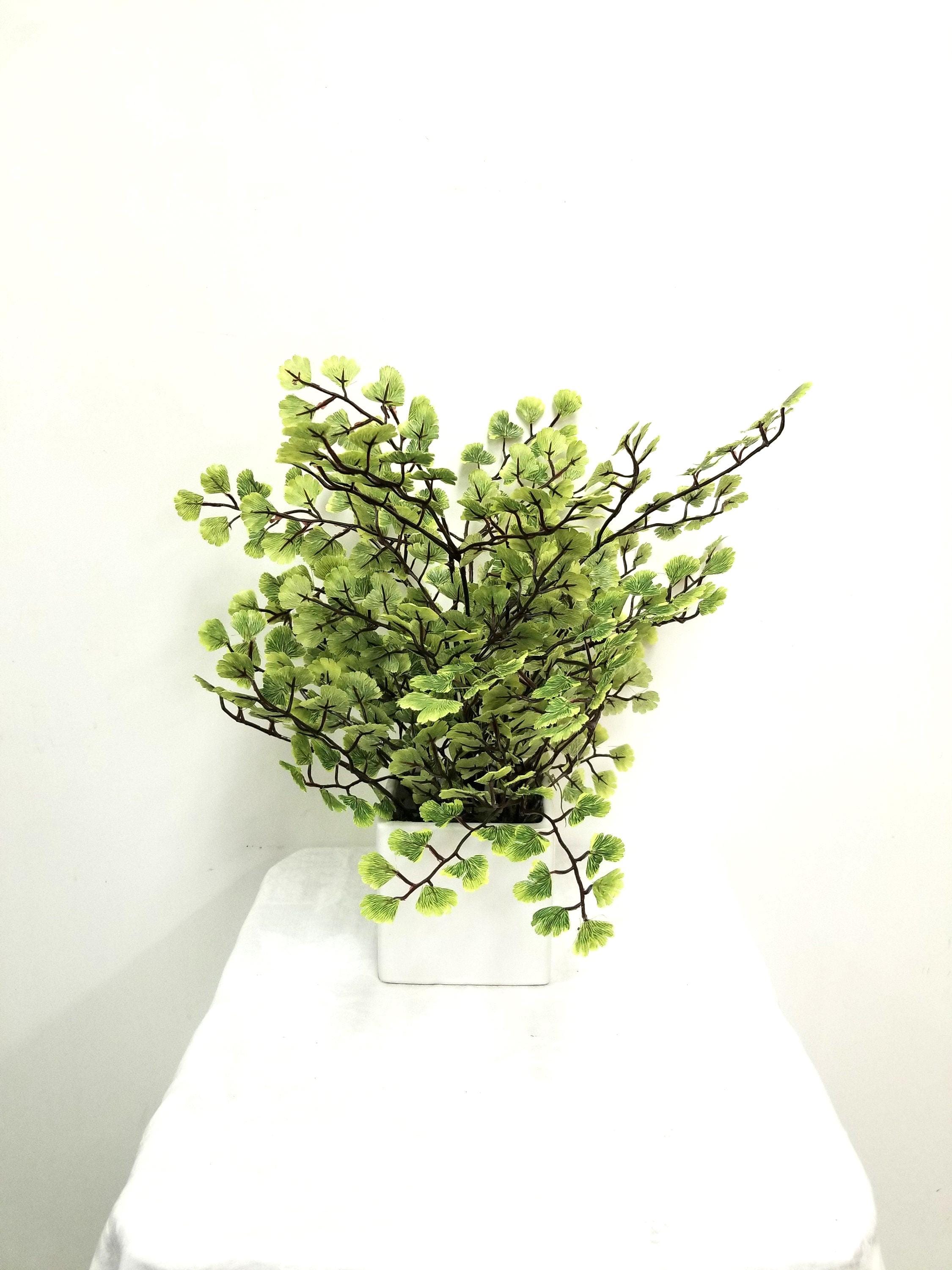 Faux Maiden Hair Fern plant, Potted in a White Ceramic Square pot, with Spanish moss.
