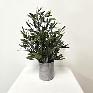Faux Olive Tree PVC Branches, Gray ceramic Pot, Dark Green Deer moss.
