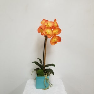 Faux Orange Phalaenopsis Orchid Plant, Potted in a Square Ceramic pot, Glazed in a Turquoise color