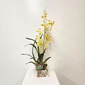 May include: A decorative floral arrangement featuring a tall stem of yellow flowers with green leaves and a small succulent. The arrangement is in a square, textured pot with a natural, organic design. The display is on a white surface.