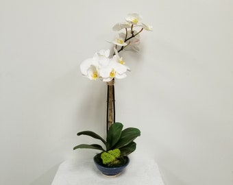 Faux White Phalaenopsis orchid plant with 2 blooming stems, bamboo stem, and deer moss, potted in a handcrafted, blue glazed, clay pot.