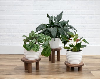 May include: Three potted plants on wooden plant stands. The plants are a peace lily, a prayer plant, and a red anthurium. The stands are all the same style, with three legs and a round top.